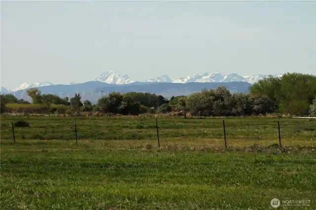 Stuart Range