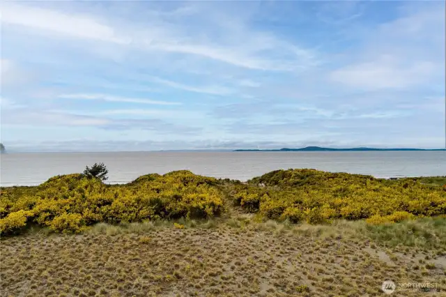 Enjoy this View after Building Your Dream Home. Lots of Bald Eagles, Birds and Seals.