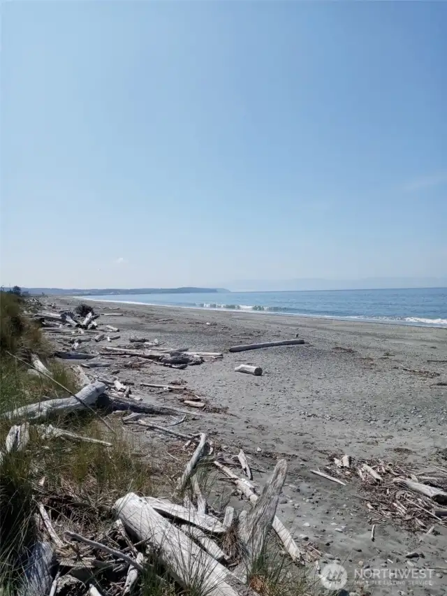On the Beach looking South towards to the Olympic Mountains.
