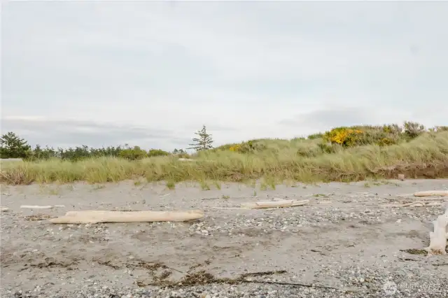 View of the Beach from the Subject Property