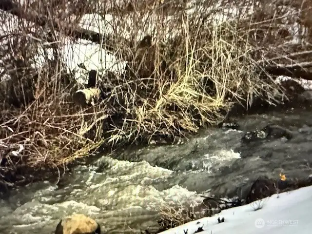 Seasonal Creek