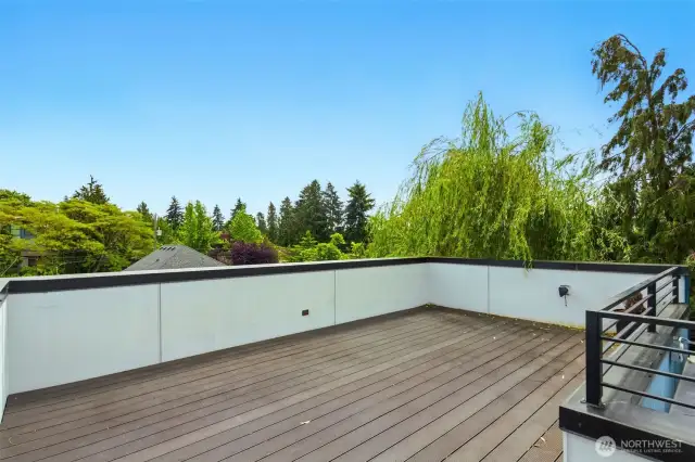 Gorgeous sunsets atop your roof deck, views of the mountains, Licton Springs park, peeks of Rainier, so much privacy and so much space!