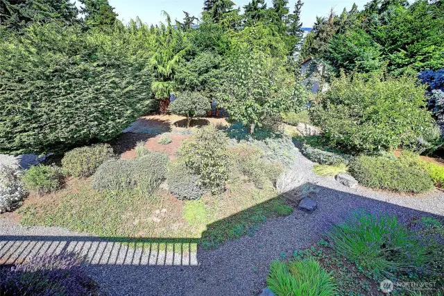 View of the back yard garden