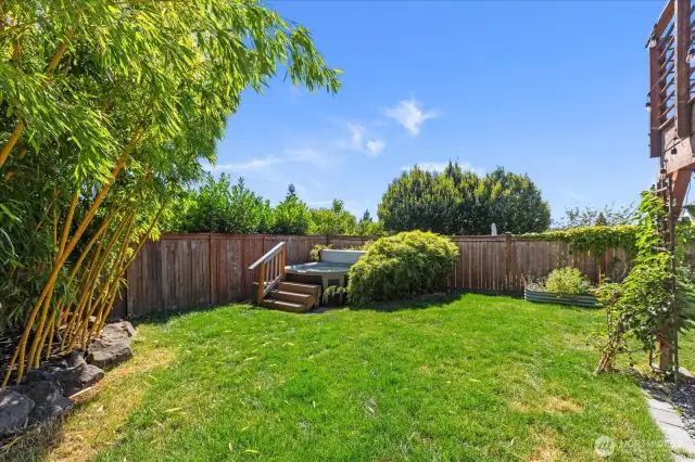 Large sunny Southwest facing backyard.