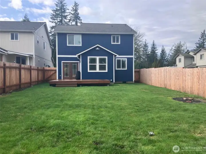 updated backyard pictures, grass filled in now