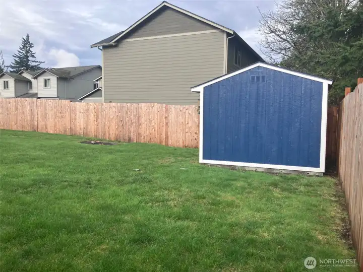 updated backyard pictures, grass filled in now