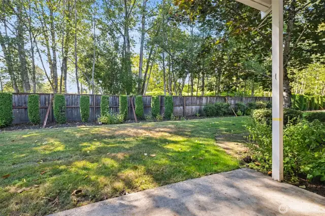 The private backyard provides a natural backdrop from the interior of the home.