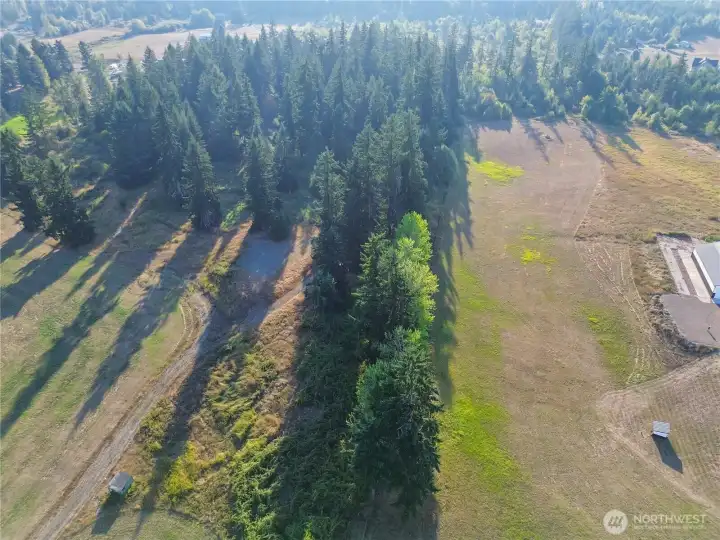 Property line runs up tree line.
