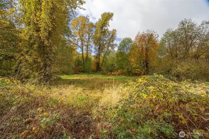 Open space