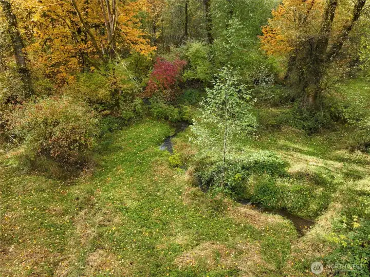 Peaceful creek