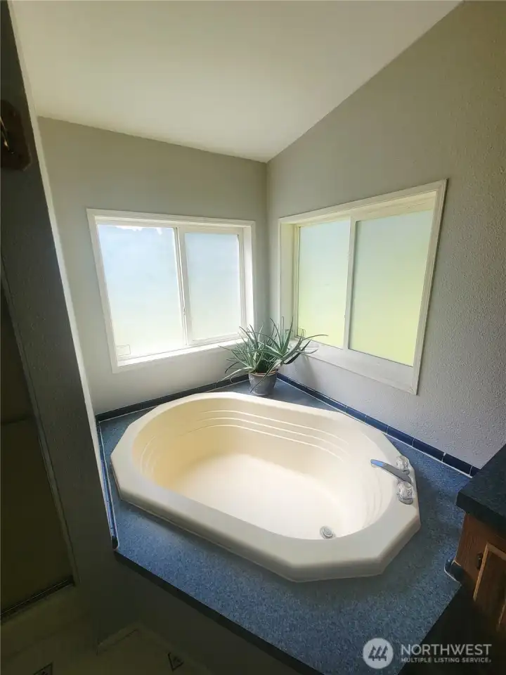 Jetted Tub Jetted Tub