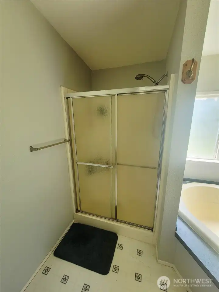 Shower Shower