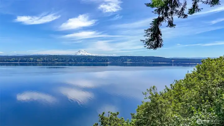 Gorgeous view of Mt Rainier and the Sound. Sigh. What are you waiting for? Gorgeous view of Mt Rainier and the Sound. Sigh. What are you waiting for?