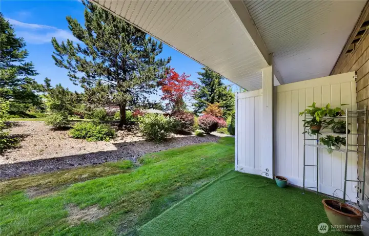 Covered Back Patio