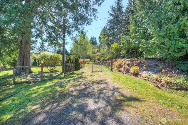 Red flags and line are placed by seller and demonstrate an understanding of property boundaries. Not an official survey.
