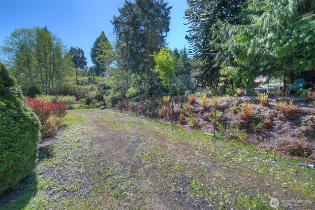 The fence at the right is not the property line. The property extends into and includes the area on the right side of the fence where ferns are planted.