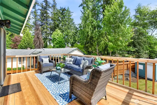Newly finished Entertainment-Size Deck