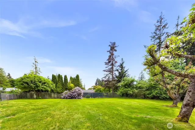 .23 Acre Level and Lush Yard