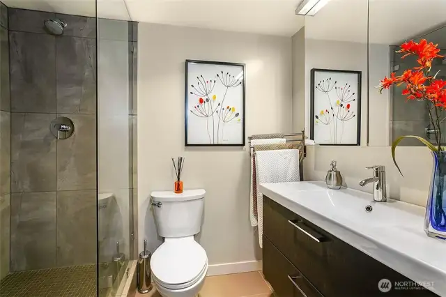 The guest bath with mod vanity and spa shower.