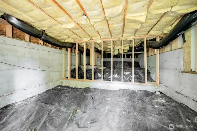 Storage space under home
