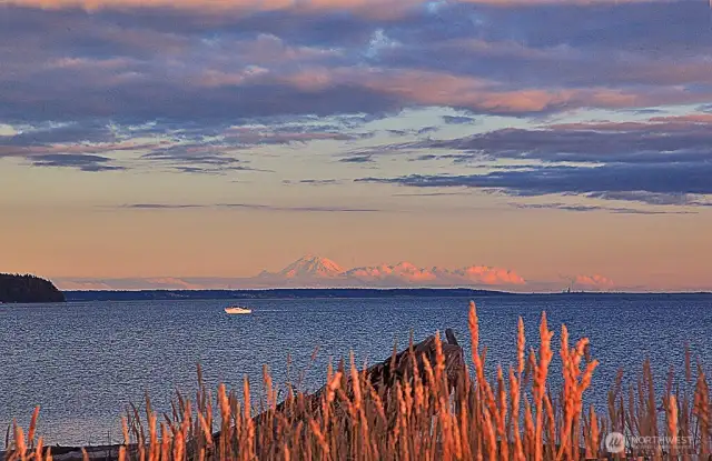 South facing views offer amazing in your face Mount Rainer, twinkling lights of the Seattle skyline.
