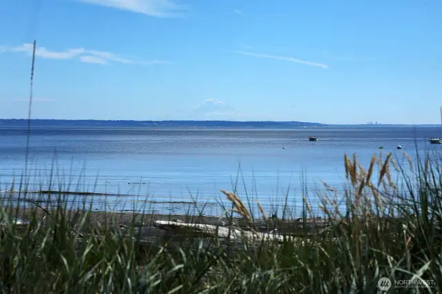 Or Kick back and watch the deep water boats and ships.