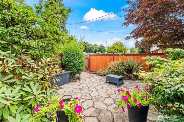 Enclosed backyard patio with mature landscaping