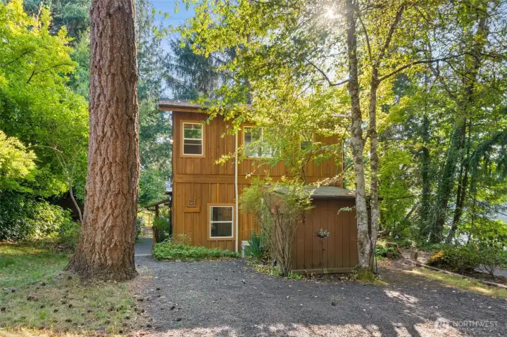 Perfectly placed among the trees.