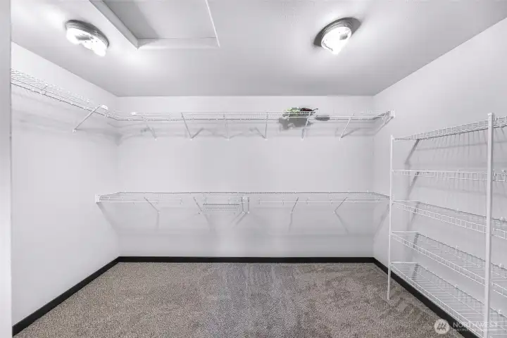 Huge walk in closet with new carpet