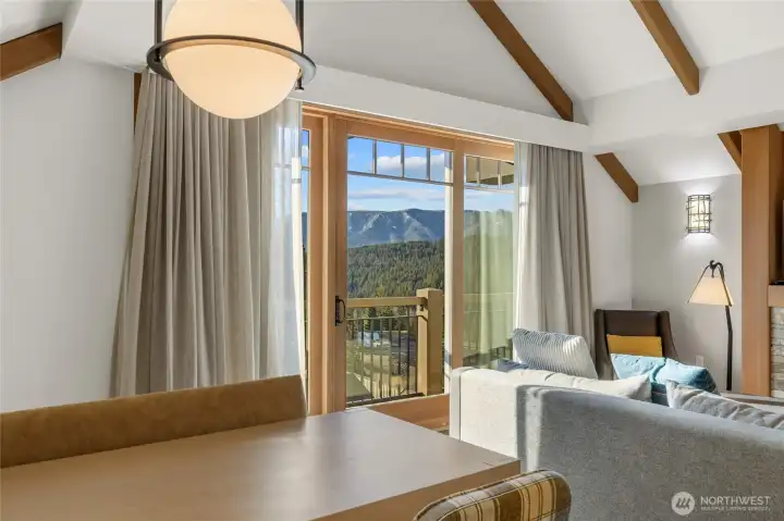 Views from dining table