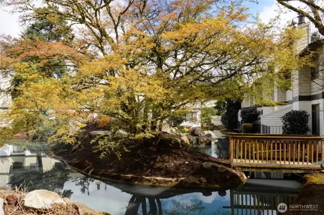 Holly Glen is a unique community with a private lagoon winding it's way throughout the units. Whether you're sipping your morning coffee while gazing at the water or enjoying an evening meal, this inviting space provides the perfect blend of comfort and scenic charm.