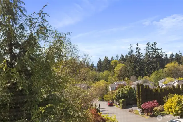 Neighborhood view from the primary suite