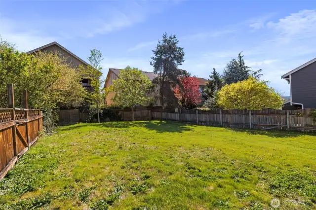 Look at this glorious backyard!