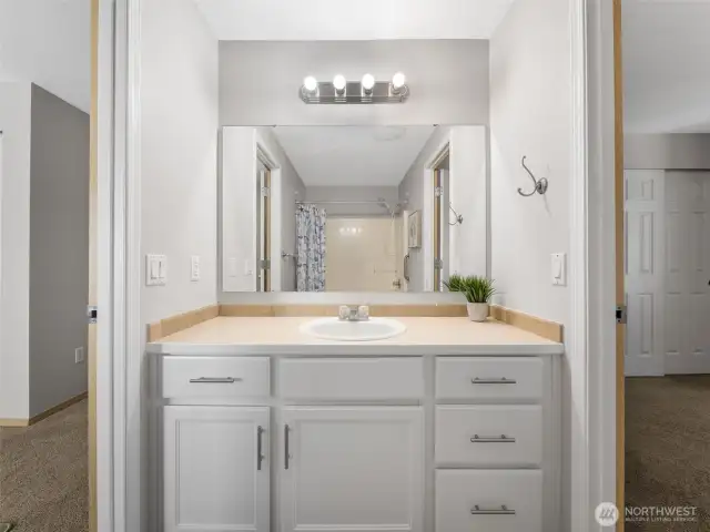 Here's the painted vanity in this bathroom with one sink, tons of storage too!