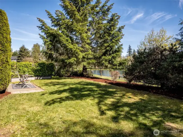 Shot from the neighbor's yard and the view! On the other side of the bark in this photo is the property line and where the HOA maintains the grass and trails.