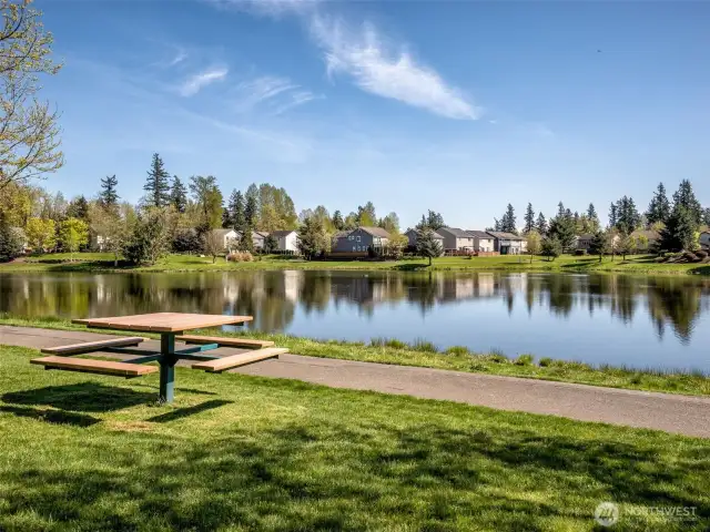 Just beyond the shrubs and trees is the walking trail around the lake with a picnic table. They are distributed around the lake.