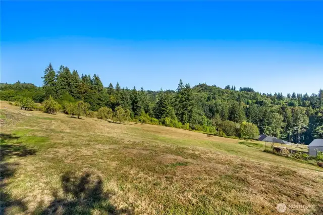 Back of Property