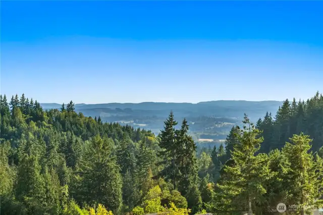 View From Patio & House