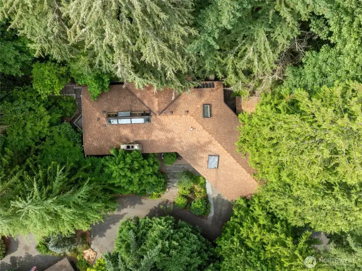 Set amidst a forested canopy, this architectural gem offers unmatched privacy and a breathtaking connection to nature.