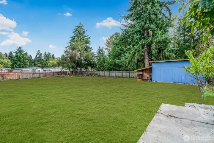 Grass has been digitized.