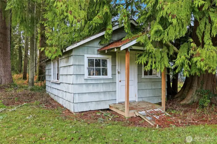 Shed in large backyard
