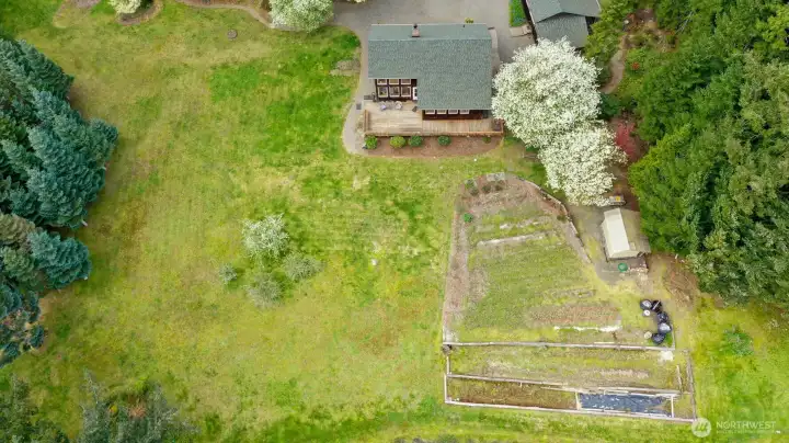 A stunning blend of fruit trees, noble firs, dogwoods, and more—surrounded by mature trees that offer privacy on all sides.