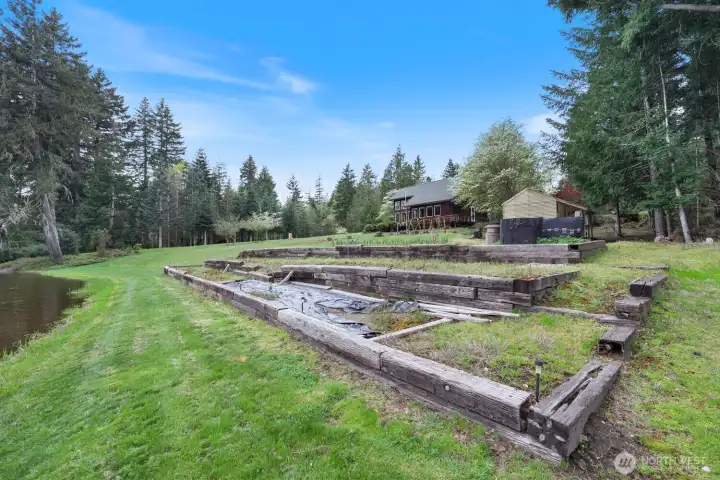 Vast garden with greenhouse in the background. Theres even established garlic that's currently growing!