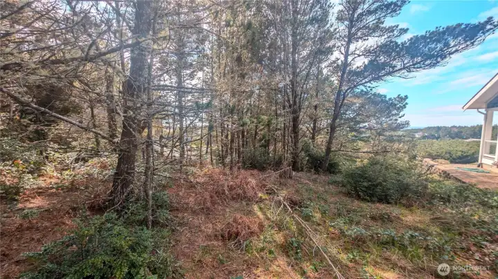 Potential building site.  Buyer to do due diligence for site development.