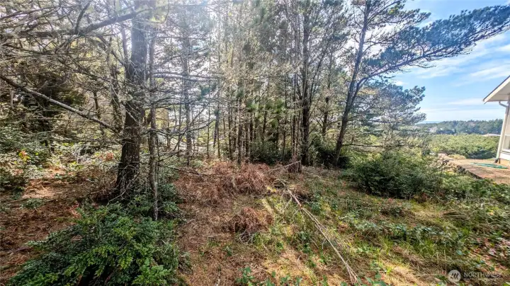Tree lot with significant oceanview potential