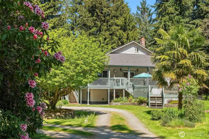 The mature landscaping, including many gorgeous rhodies, is stunning. Lovely tree in the center of the circular drive!