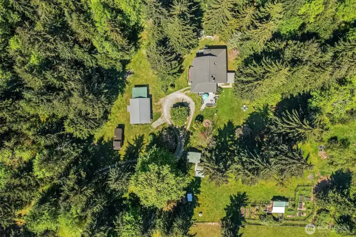 Notice how much light and open space there is, all while preserving trees for privacy and wildlife habitat.