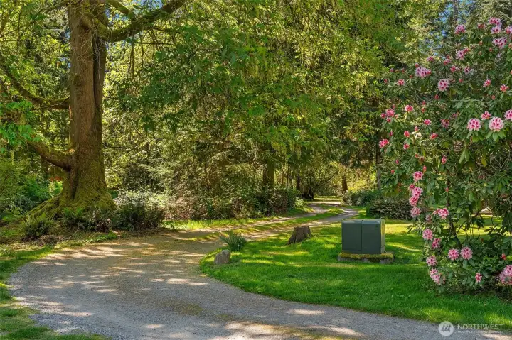 Coming through the trees to the home is an enchanting experience.