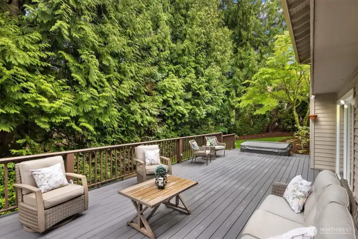 Newer Azak composition deck. The sunken hot tub is a real treat and will stay with the home.
