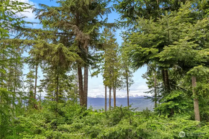 The views are what Trailside is all about! This property offers breathtaking panoramas, perfect for enjoying nature's beauty.